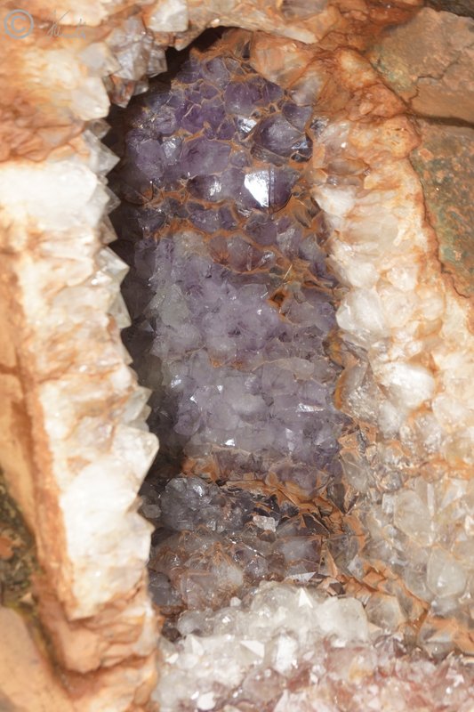 geöffnete Druse mit Amethystkristallen