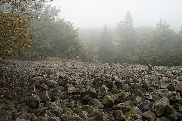 Silikat-Grobblockhalde im herbstlichen Nebel