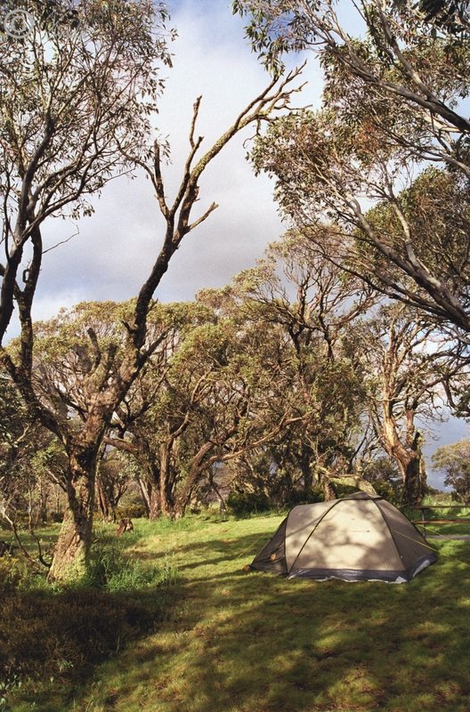 unser Zelt auf der Halbinsel im Lake Eucumbene