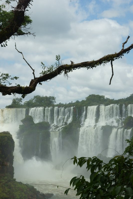 Blick vom mittleren Rundweg auf die Iguazu-Wasserfälle
