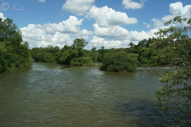 Blick auf den Rio Iguazu oberhalb der Fälle