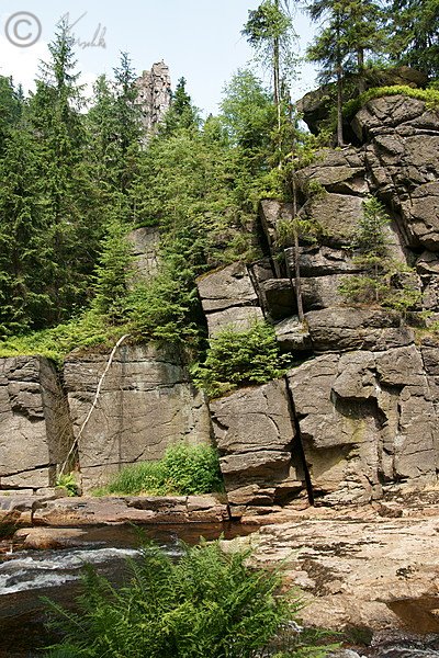 Schwarzwasser an Nonnenfelsen mit Felsspaltenvegetation