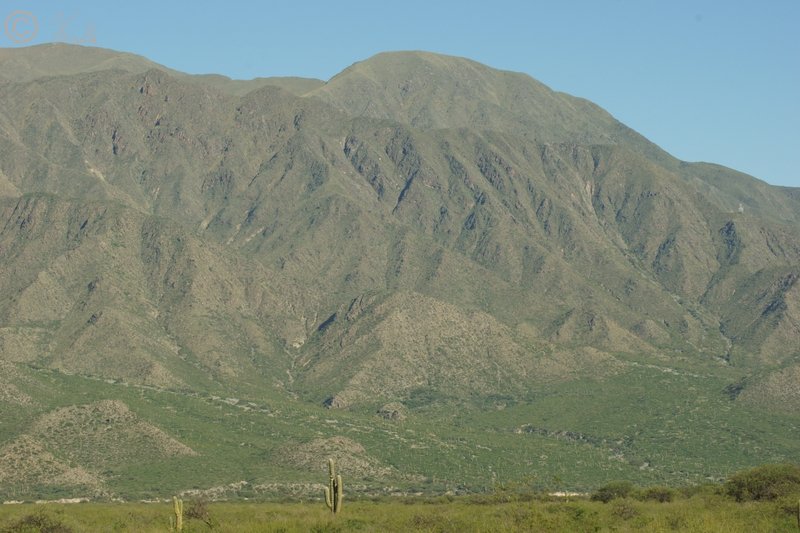 Blick aus dem Tal des Rio Cienaga nach Westen auf die Sierra del Cajon mit Säulenkakteen