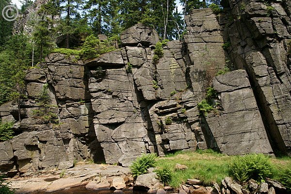 Blick auf die Nonnenfelsen mit Felsspaltenvegetation