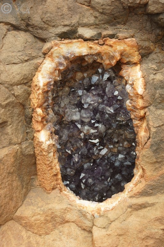 geöffnete Druse mit Amethyst-Kristallen im Felsen