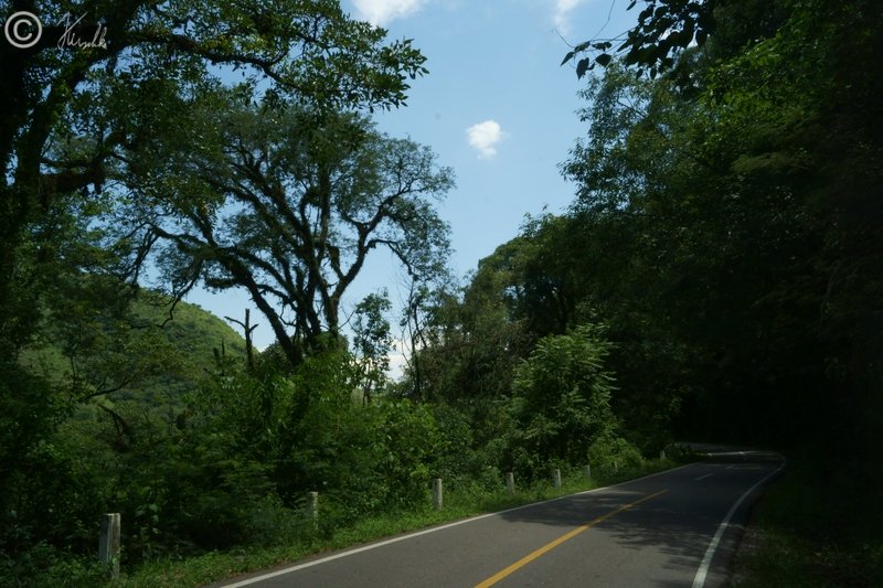 Straße durch den Bergregenwald